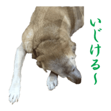 MakiCream Sticker Collection sticker #13622438