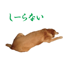 MakiCream Sticker Collection sticker #13622439