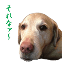 MakiCream Sticker Collection sticker #13622440