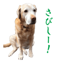 MakiCream Sticker Collection sticker #13622442