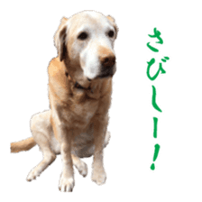 MakiCream Sticker Collection sticker #13622442