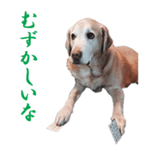 MakiCream Sticker Collection sticker #13622443