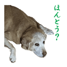 MakiCream Sticker Collection sticker #13622444