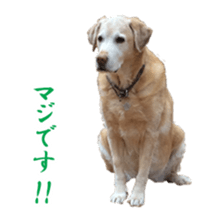 MakiCream Sticker Collection sticker #13622446