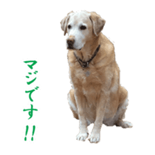 MakiCream Sticker Collection sticker #13622446