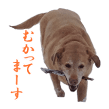 MakiCream Sticker Collection sticker #13622449