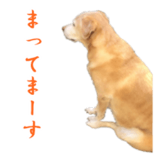 MakiCream Sticker Collection sticker #13622450