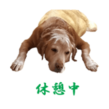 MakiCream Sticker Collection sticker #13622453