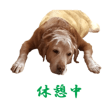 MakiCream Sticker Collection sticker #13622453