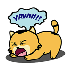 KITTy Stickers - Cutie Cat sticker #13622763
