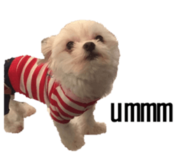 lovely doggie sticker sticker #13623262