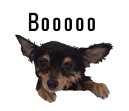 lovely doggie sticker sticker #13623264