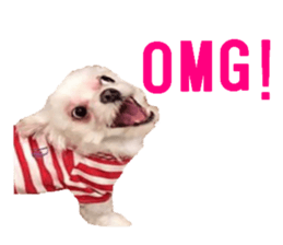 lovely doggie sticker sticker #13623267