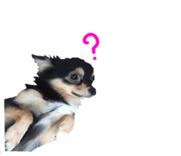 lovely doggie sticker sticker #13623268