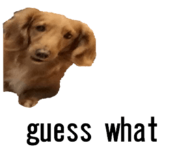 lovely doggie sticker sticker #13623270