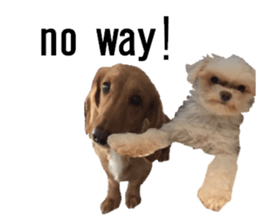 lovely doggie sticker sticker #13623272