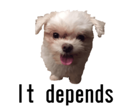 lovely doggie sticker sticker #13623273