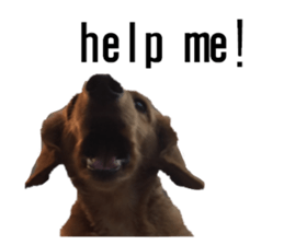 lovely doggie sticker sticker #13623274