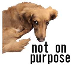 lovely doggie sticker sticker #13623275