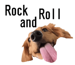 lovely doggie sticker sticker #13623276