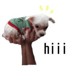 lovely doggie sticker sticker #13623277