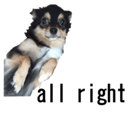 lovely doggie sticker sticker #13623278