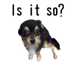 lovely doggie sticker sticker #13623279