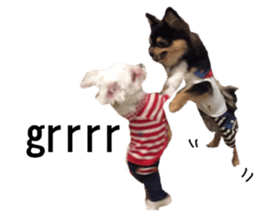 lovely doggie sticker sticker #13623280