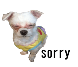 lovely doggie sticker sticker #13623284