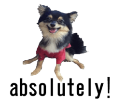 lovely doggie sticker sticker #13623285