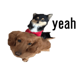 lovely doggie sticker sticker #13623287