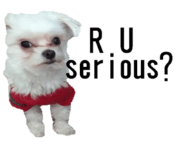 lovely doggie sticker sticker #13623288