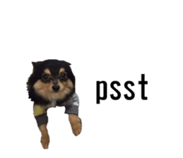 lovely doggie sticker sticker #13623290