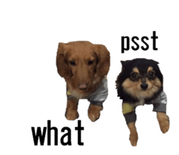 lovely doggie sticker sticker #13623291