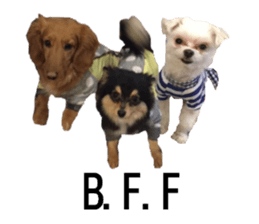 lovely doggie sticker sticker #13623294