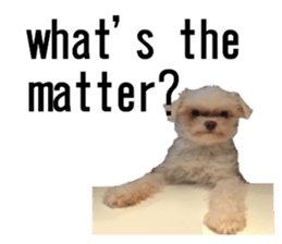 lovely doggie sticker sticker #13623297