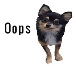 lovely doggie sticker sticker #13623298