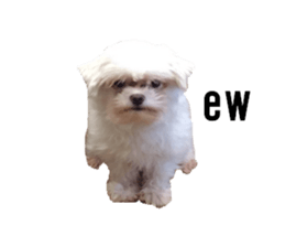 lovely doggie sticker sticker #13623299