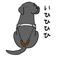 GUIDE DOG LAB 1 sticker #13624257