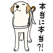 GUIDE DOG LAB 1 sticker #13624258