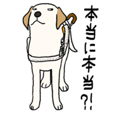 GUIDE DOG LAB 1 sticker #13624258