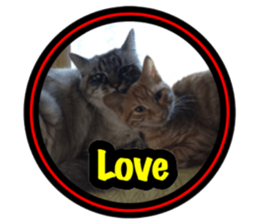 Pretty pets sticker #13626643