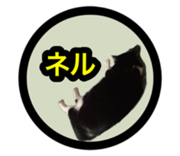 Pretty pets sticker #13626645