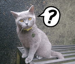 Aki's daily life sticker #13626982