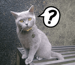 Aki's daily life sticker #13626982