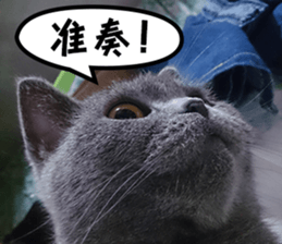 Aki's daily life sticker #13626983