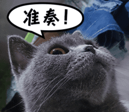 Aki's daily life sticker #13626983