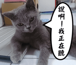 Aki's daily life sticker #13626984