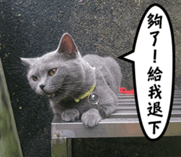 Aki's daily life sticker #13626985