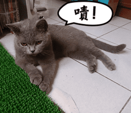 Aki's daily life sticker #13626986